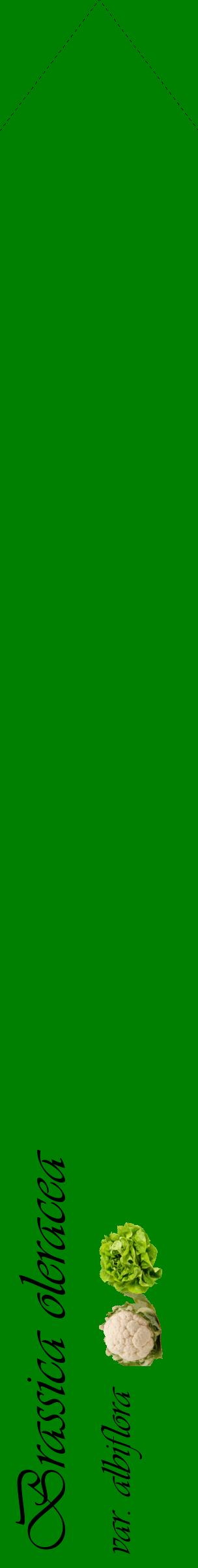 Étiquette de : Brassica oleracea var. albiflora - format c - style noire9_simpleviv avec comestibilité simplifiée