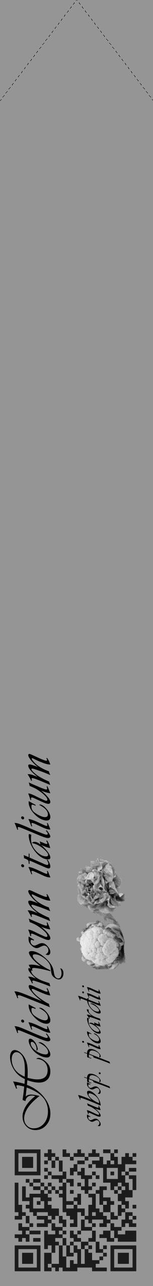 Étiquette de : Helichrysum italicum subsp. picardii - format c - style noire16_simple_simpleviv avec qrcode et comestibilité simplifiée - position verticale