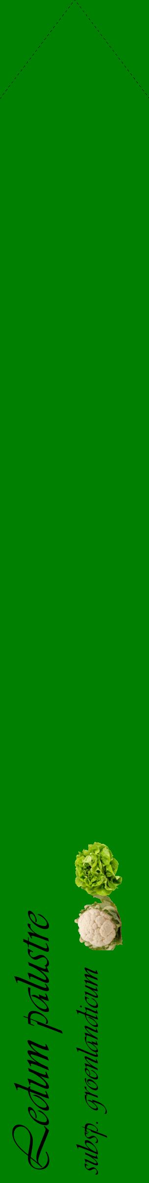 Étiquette de : Ledum palustre subsp. groenlandicum - format c - style noire9_simpleviv avec comestibilité simplifiée