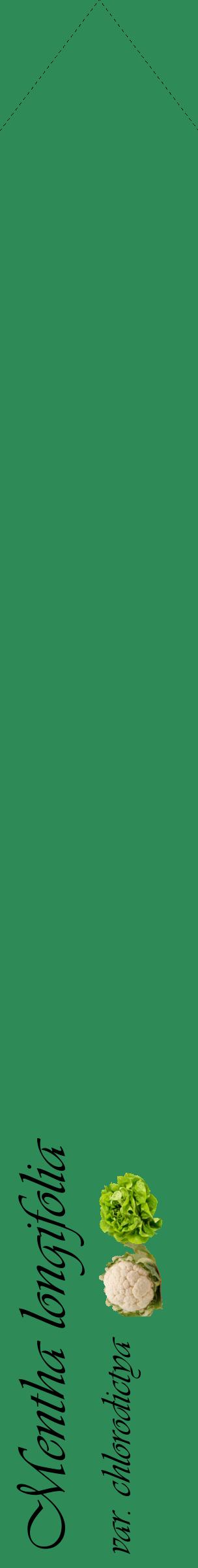 Étiquette de : Mentha longifolia var. chlorodictya - format c - style noire11_simpleviv avec comestibilité simplifiée