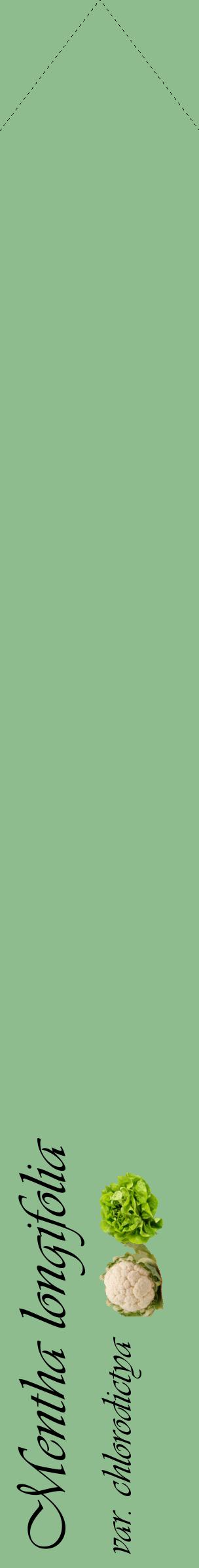 Étiquette de : Mentha longifolia var. chlorodictya - format c - style noire13_simpleviv avec comestibilité simplifiée