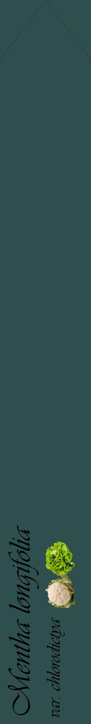 Étiquette de : Mentha longifolia var. chlorodictya - format c - style noire58_simpleviv avec comestibilité simplifiée