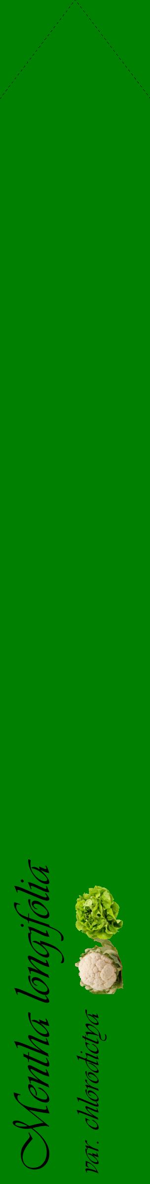 Étiquette de : Mentha longifolia var. chlorodictya - format c - style noire9_simpleviv avec comestibilité simplifiée