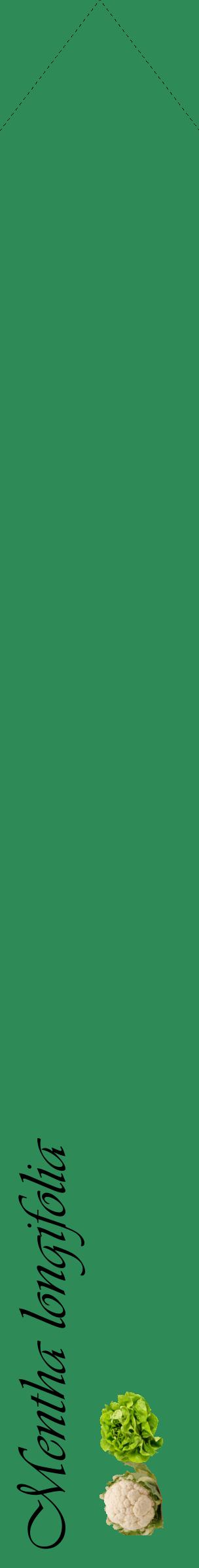 Étiquette de : Mentha longifolia - format c - style noire11_simpleviv avec comestibilité simplifiée