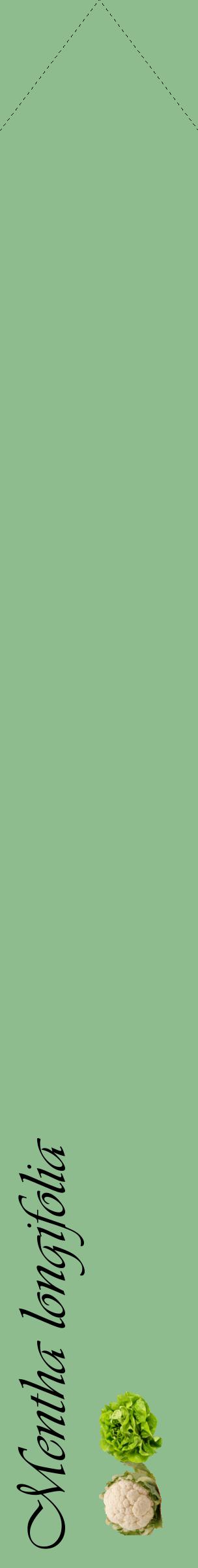 Étiquette de : Mentha longifolia - format c - style noire13_simpleviv avec comestibilité simplifiée