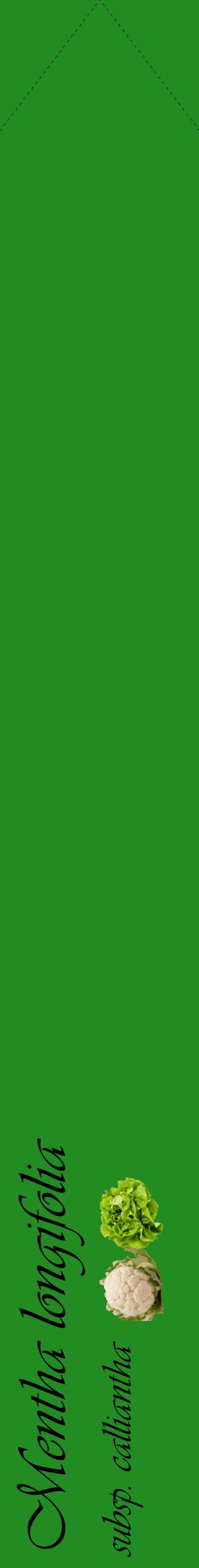 Étiquette de : Mentha longifolia subsp. calliantha - format c - style noire10_simpleviv avec comestibilité simplifiée