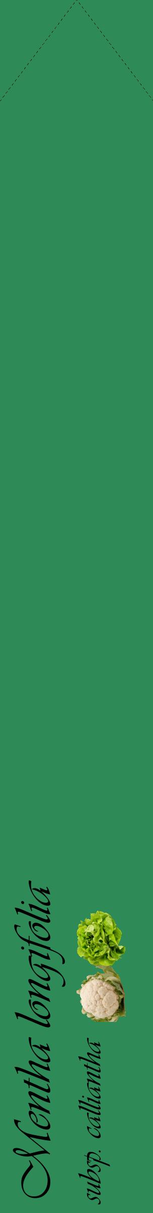 Étiquette de : Mentha longifolia subsp. calliantha - format c - style noire11_simpleviv avec comestibilité simplifiée