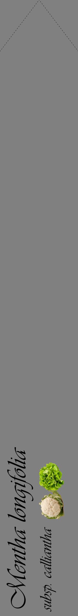 Étiquette de : Mentha longifolia subsp. calliantha - format c - style noire57_simpleviv avec comestibilité simplifiée