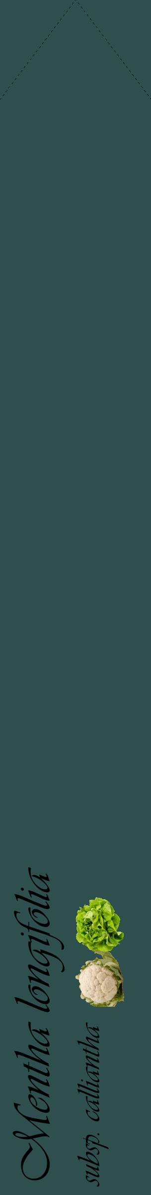 Étiquette de : Mentha longifolia subsp. calliantha - format c - style noire58_simpleviv avec comestibilité simplifiée