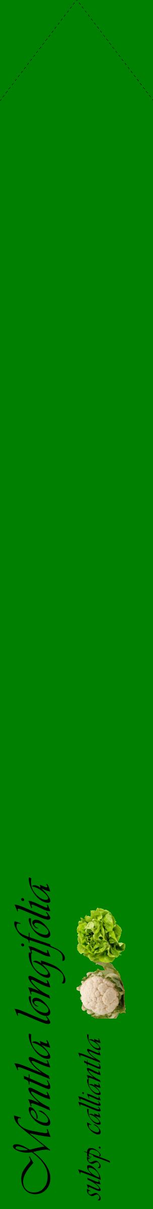Étiquette de : Mentha longifolia subsp. calliantha - format c - style noire9_simpleviv avec comestibilité simplifiée