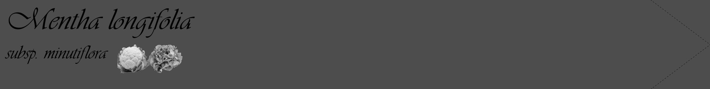 Étiquette de : Mentha longifolia subsp. minutiflora - format c - style noire28_simple_simpleviv avec comestibilité simplifiée