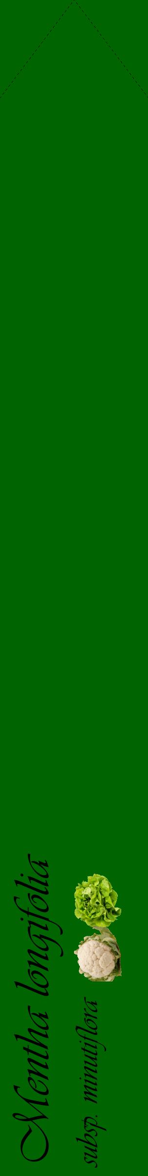 Étiquette de : Mentha longifolia subsp. minutiflora - format c - style noire8_simpleviv avec comestibilité simplifiée
