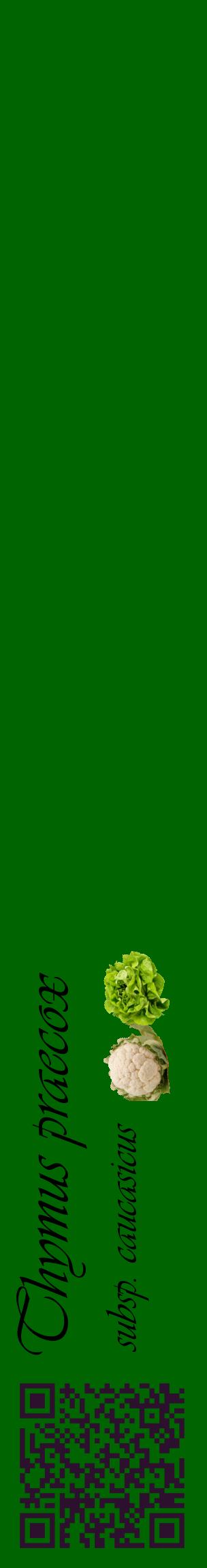 Étiquette de : Thymus praecox subsp. caucasicus - format c - style noire8_basiqueviv avec qrcode et comestibilité simplifiée