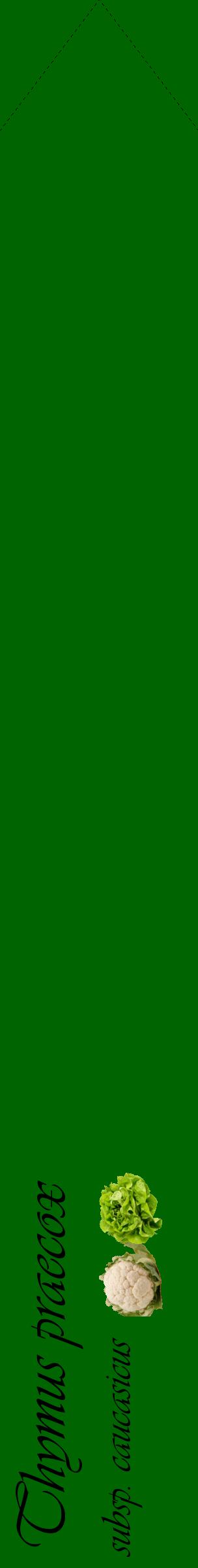 Étiquette de : Thymus praecox subsp. caucasicus - format c - style noire8_simpleviv avec comestibilité simplifiée
