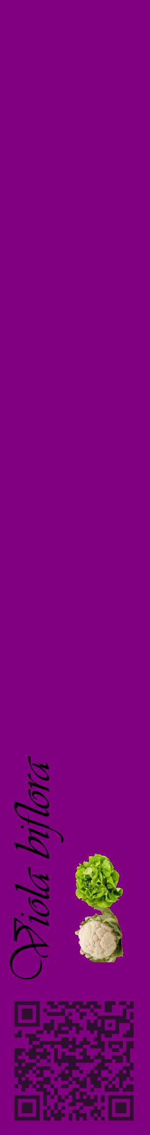 Étiquette de : Viola biflora - format c - style noire46_basiqueviv avec qrcode et comestibilité simplifiée