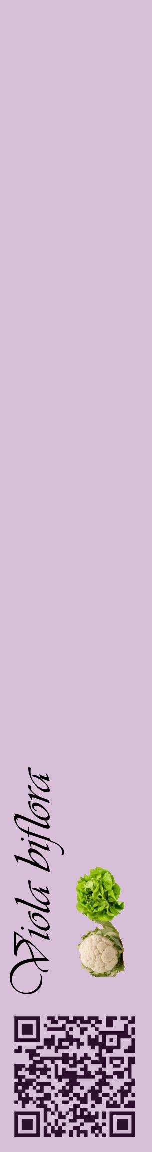 Étiquette de : Viola biflora - format c - style noire54_basiqueviv avec qrcode et comestibilité simplifiée