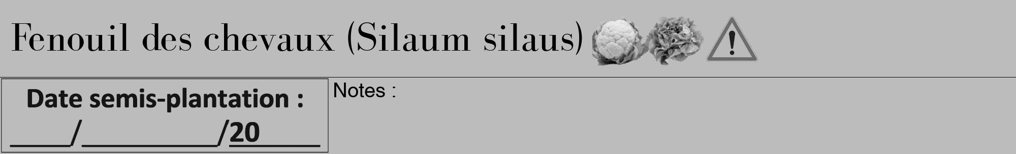 Étiquette de : Silaum silaus - format a - style noire1bod avec comestibilité simplifiée