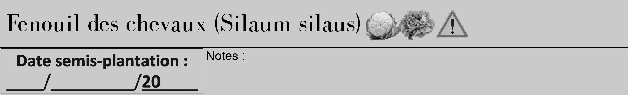 Étiquette de : Silaum silaus - format a - style noire21bod avec comestibilité simplifiée