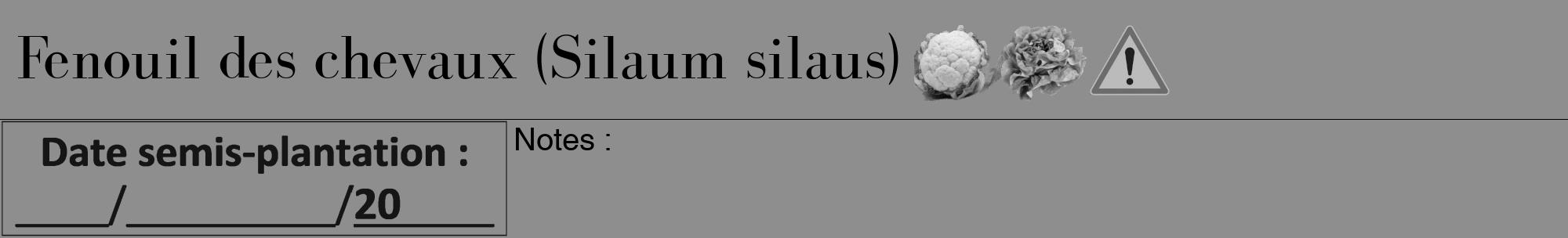 Étiquette de : Silaum silaus - format a - style noire25bod avec comestibilité simplifiée