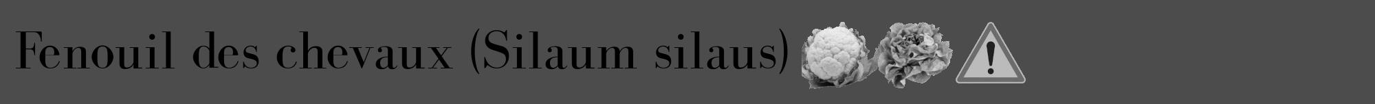 Étiquette de : Silaum silaus - format a - style noire27bod avec comestibilité simplifiée