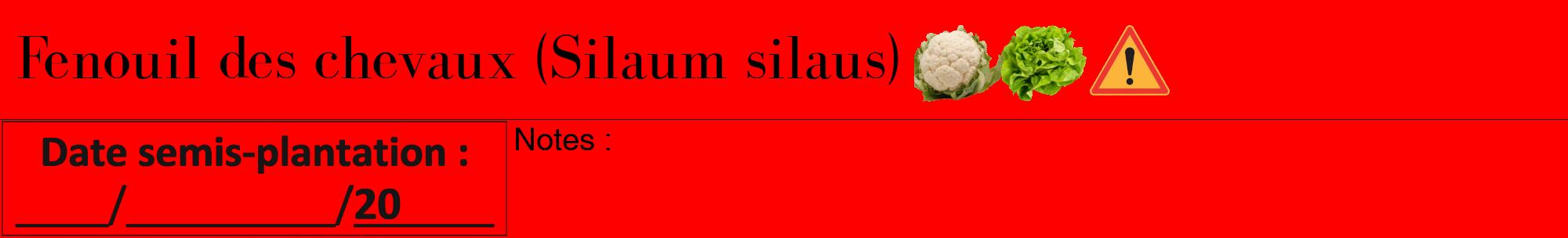 Étiquette de : Silaum silaus - format a - style noire27bod avec comestibilité simplifiée