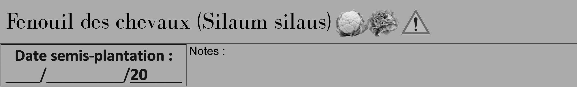 Étiquette de : Silaum silaus - format a - style noire37bod avec comestibilité simplifiée