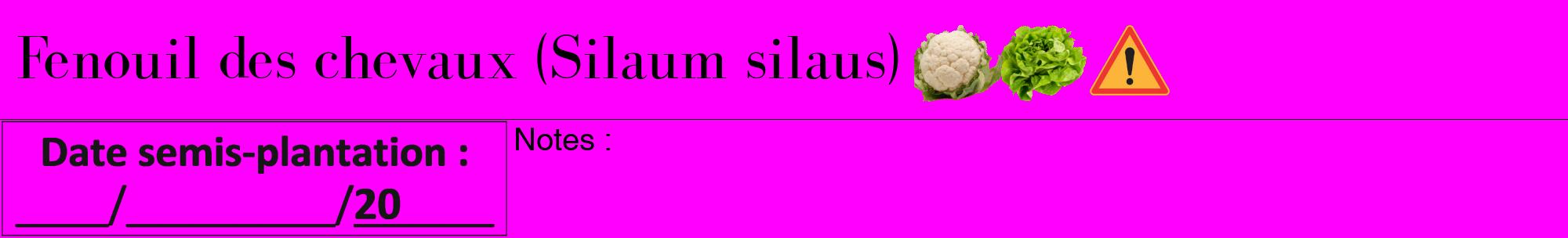 Étiquette de : Silaum silaus - format a - style noire51bod avec comestibilité simplifiée