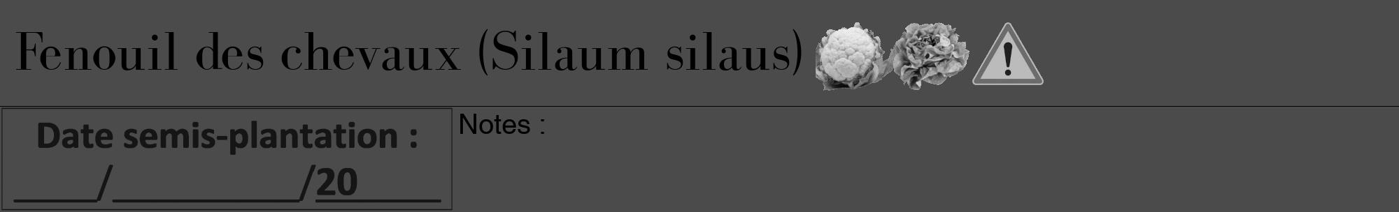 Étiquette de : Silaum silaus - format a - style noire9bod avec comestibilité simplifiée