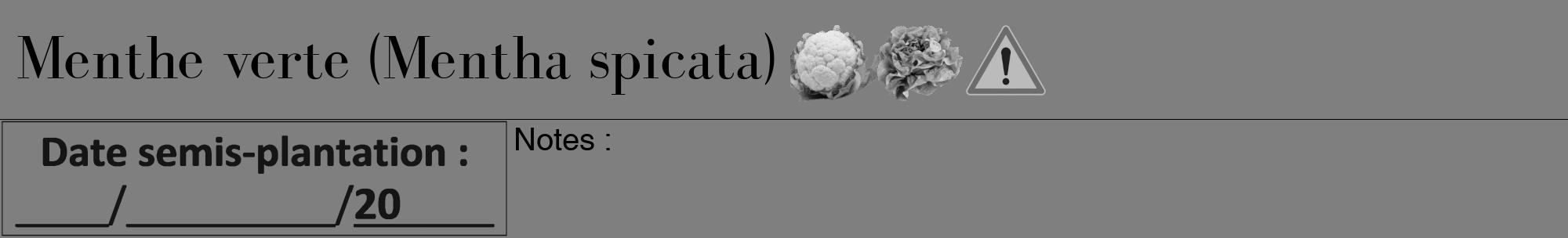 Étiquette de : Mentha spicata - format a - style noire31bod avec comestibilité simplifiée
