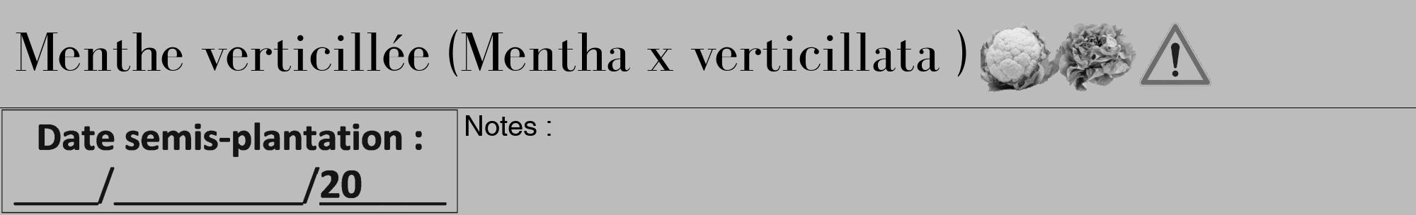 Étiquette de : Mentha x verticillata  - format a - style noire1bod avec comestibilité simplifiée