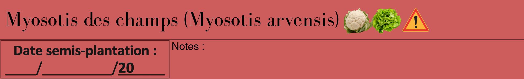 Étiquette de : Myosotis arvensis - format a - style noire35basiquebod avec comestibilité simplifiée
