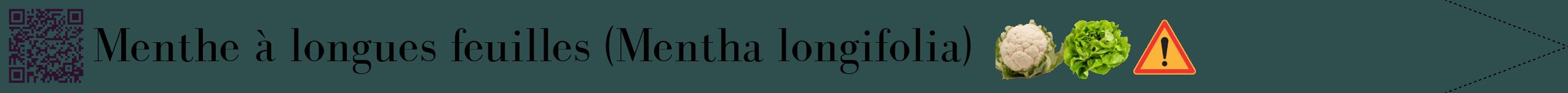 Étiquette de : Mentha longifolia - format b - style noire58simplebod avec qrcode et comestibilité simplifiée