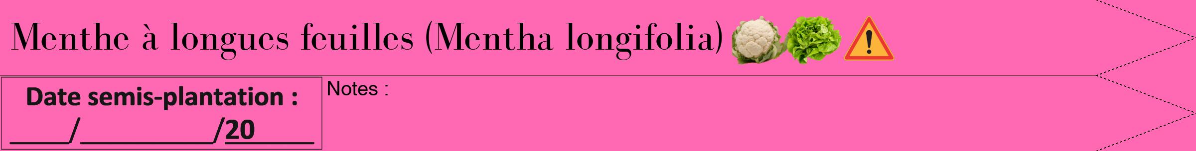 Étiquette de : Mentha longifolia - format b - style noire42bod avec comestibilité simplifiée