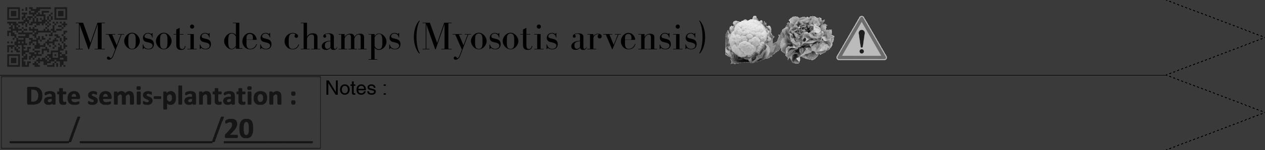 Étiquette de : Myosotis arvensis - format b - style noire8bod avec qrcode et comestibilité simplifiée