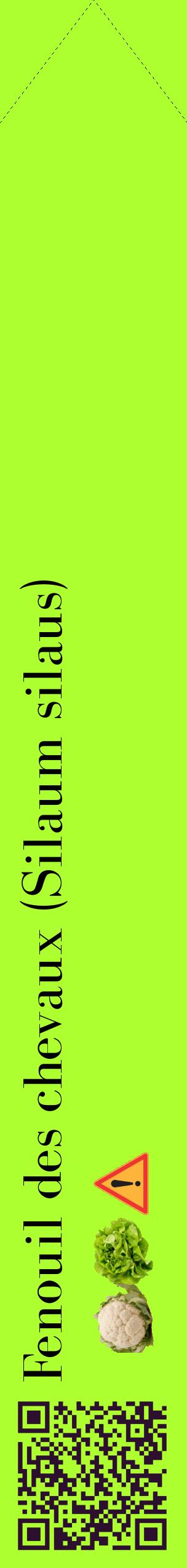 Étiquette de : Silaum silaus - format c - style noire17_simplebod avec qrcode et comestibilité simplifiée