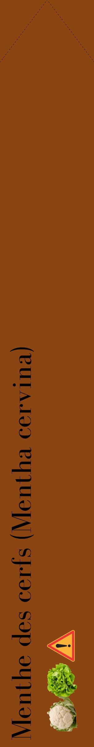 Étiquette de : Mentha cervina - format c - style noire30_simplebod avec comestibilité simplifiée