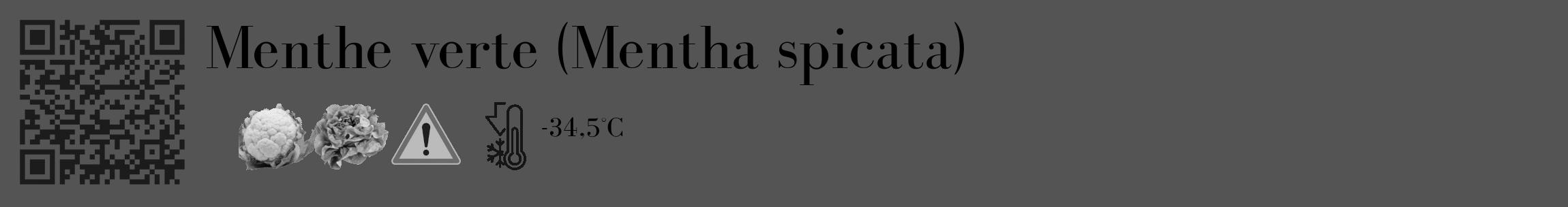 Étiquette de : Mentha spicata - format c - style noire30_basique_basiquebod avec qrcode et comestibilité simplifiée