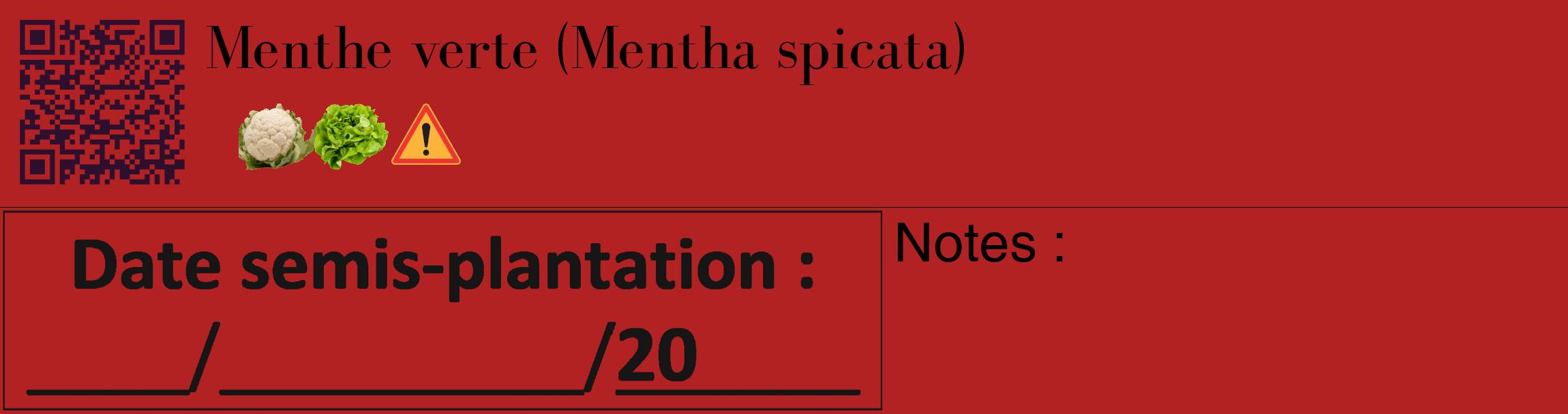 Étiquette de : Mentha spicata - format c - style noire28_basique_basiquebod avec qrcode et comestibilité simplifiée