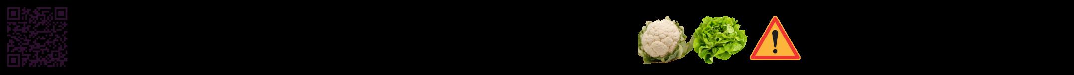 Étiquette de : Mentha spicata - format a - style noire59hel avec qrcode et comestibilité simplifiée