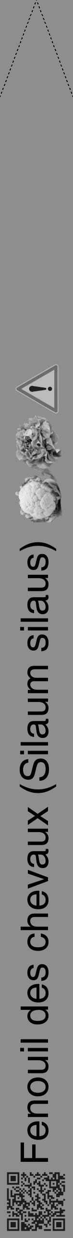 Étiquette de : Silaum silaus - format b - style noire25hel avec qrcode et comestibilité simplifiée - position verticale