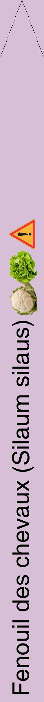 Étiquette de : Silaum silaus - format b - style noire54hel avec comestibilité simplifiée