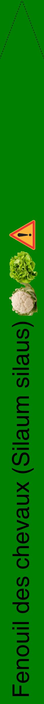 Étiquette de : Silaum silaus - format b - style noire9hel avec comestibilité simplifiée - position verticale