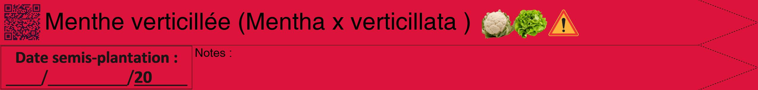 Étiquette de : Mentha x verticillata  - format b - style noire36hel avec qrcode et comestibilité simplifiée