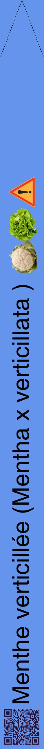 Étiquette de : Mentha x verticillata  - format b - style noire4hel avec qrcode et comestibilité simplifiée