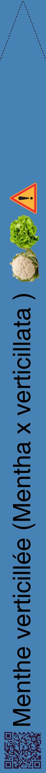 Étiquette de : Mentha x verticillata  - format b - style noire5hel avec qrcode et comestibilité simplifiée