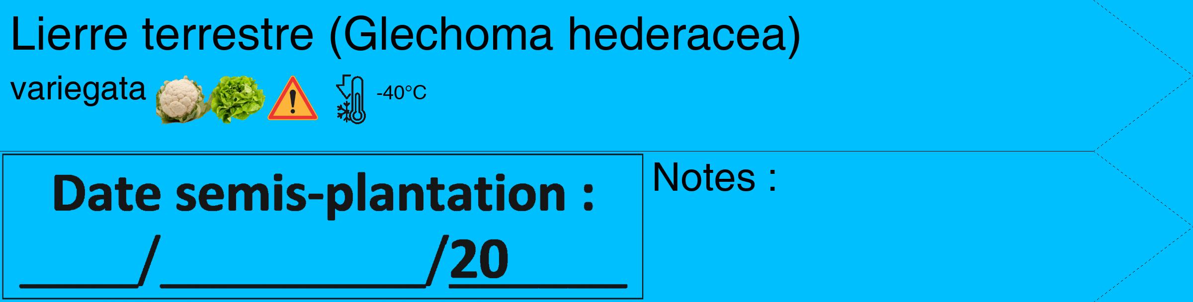 Étiquette de : Glechoma hederacea variegata - format c - style noire2_simple_simplehel avec comestibilité simplifiée
