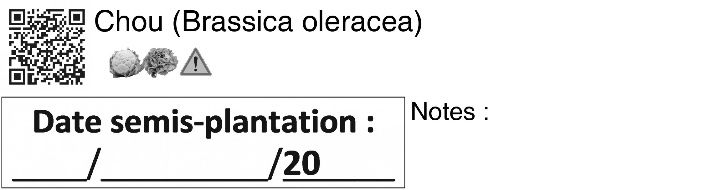 Étiquette de : Brassica oleracea - format c - style noire60_basiquegrrvhel avec qrcode et comestibilité simplifiée