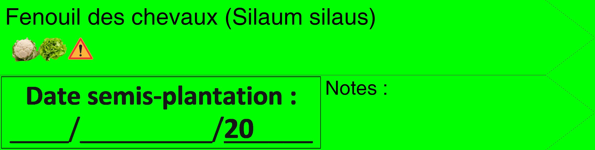 Étiquette de : Silaum silaus - format c - style noire16_simple_simplehel avec comestibilité simplifiée