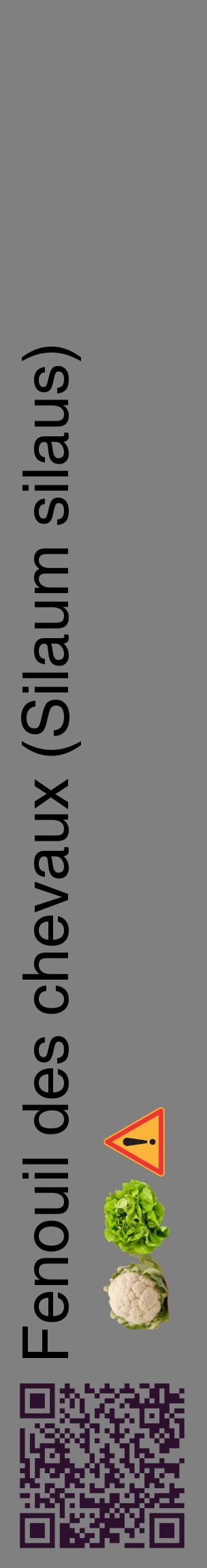 Étiquette de : Silaum silaus - format c - style noire57_basiquehel avec qrcode et comestibilité simplifiée