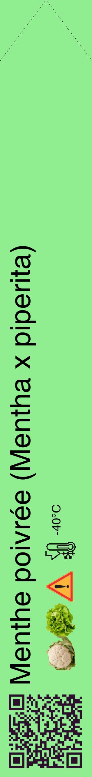 Étiquette de : Mentha x piperita - format c - style noire15_simple_simplehel avec qrcode et comestibilité simplifiée - position verticale